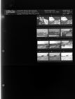Many Thousands of Dollars Damage Done by Wind (12 Negatives), January 20-21, 1964 [Sleeve 55, Folder a, Box 32]